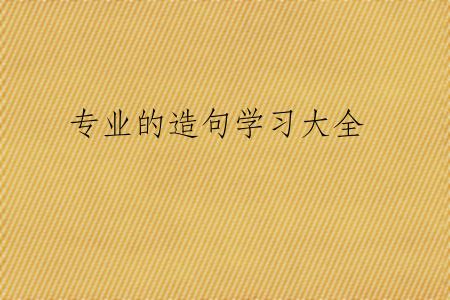 专业的造句学习大全