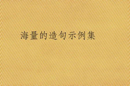 海量的造句示例集