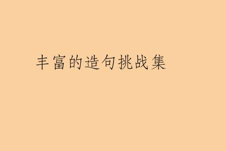 丰富的造句挑战集