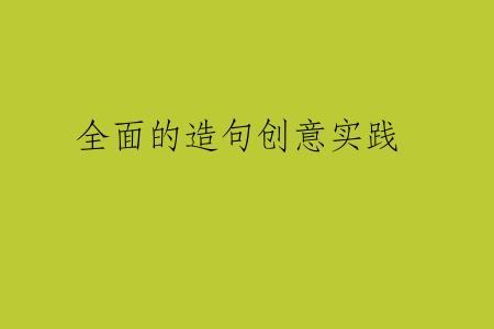 全面的造句创意实践