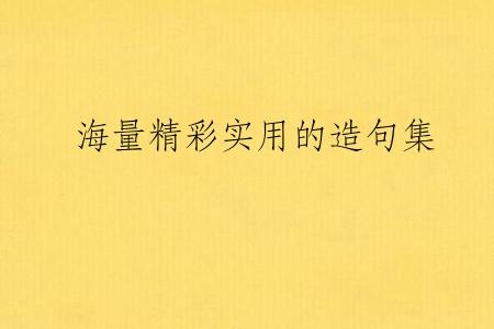 海量精彩实用的造句集