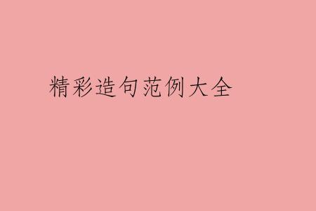 精彩造句范例大全