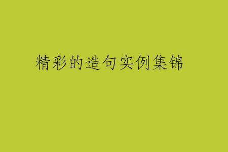 精彩的造句实例集锦