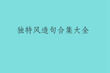 独特风造句合集大全