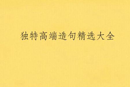 独特高端造句精选大全