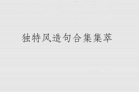 独特风造句合集集萃