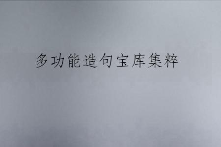 多功能造句宝库集粹