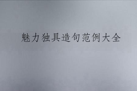魅力独具造句范例大全