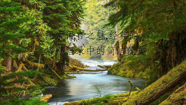 探索语言之魅,经典的情感语录中的简洁优美短句
