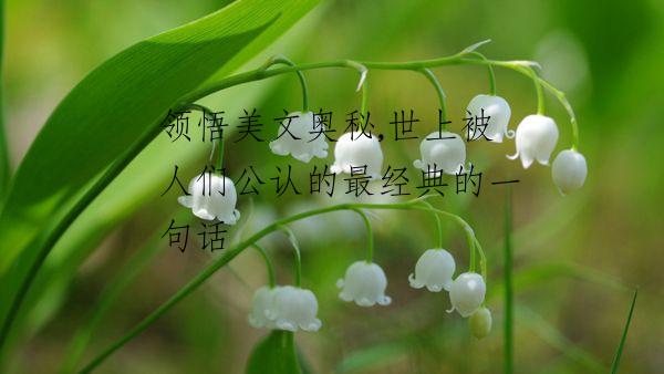 领悟美文奥秘,世上被人们公认的最经典的一句话