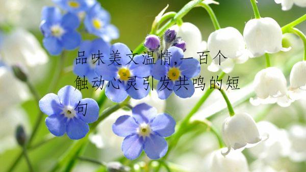 品味美文温情,一百个触动心灵引发共鸣的短句