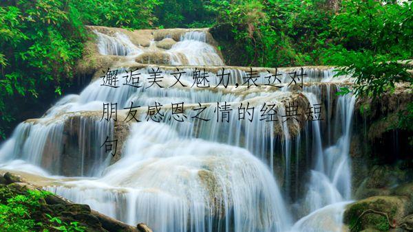 邂逅美文魅力,表达对朋友感恩之情的经典短句