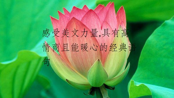 感受美文力量,具有高情商且能暖心的经典语句