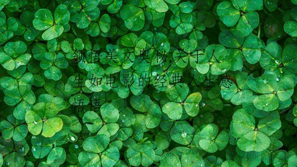领悟美文奥秘,关于人生如电影的经典人生感悟语