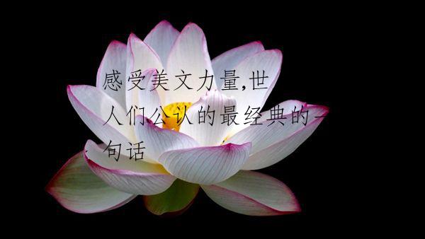 感受美文力量,世上被人们公认的最经典的一句话