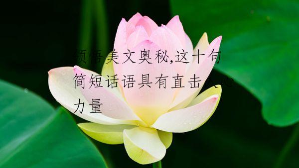 领悟美文奥秘,这十句简短话语具有直击人心力量