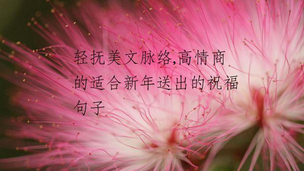 轻抚美文脉络,高情商的适合新年送出的祝福句子