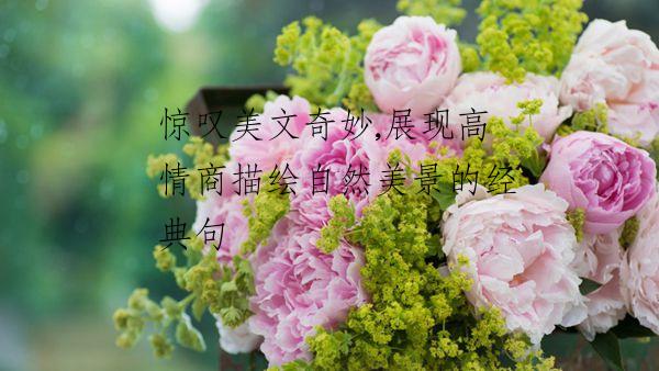 惊叹美文奇妙,展现高情商描绘自然美景的经典句