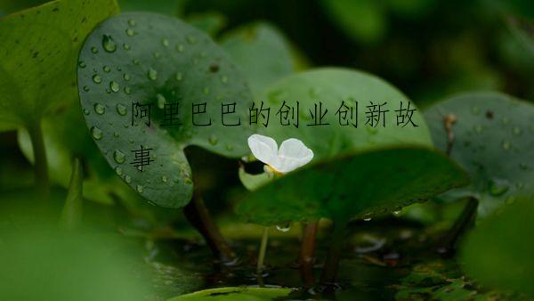 阿里巴巴的创业创新故事