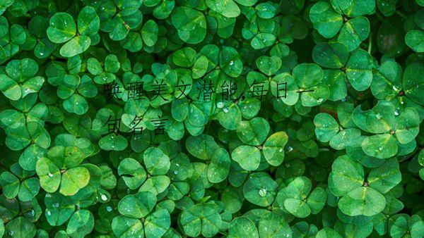 唤醒美文潜能,每日一句名言